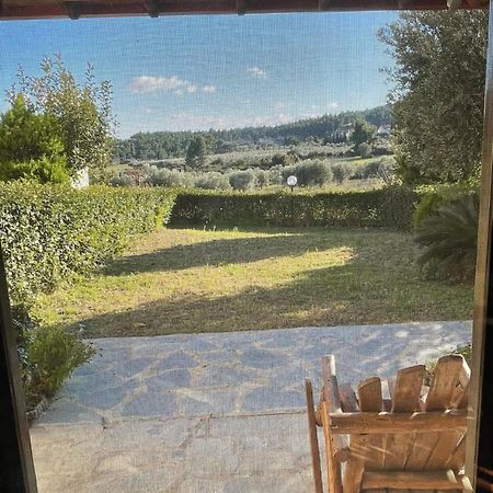 Villa Pino Pueblo باليوري المظهر الخارجي الصورة